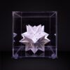Kusudama 03 - Estrela do Mar - Image 2